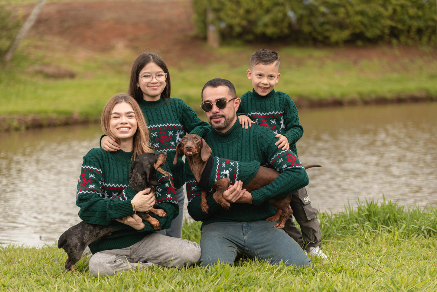Sweater Mascotas Lucerna Verde