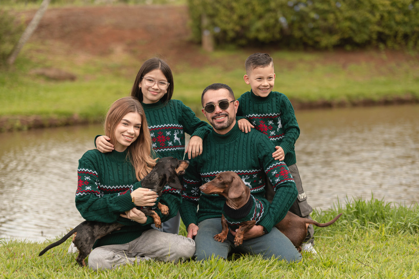 Sweater Lucerna Verde