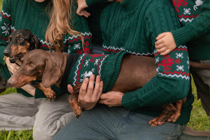 Sweater Mascotas Lucerna Verde