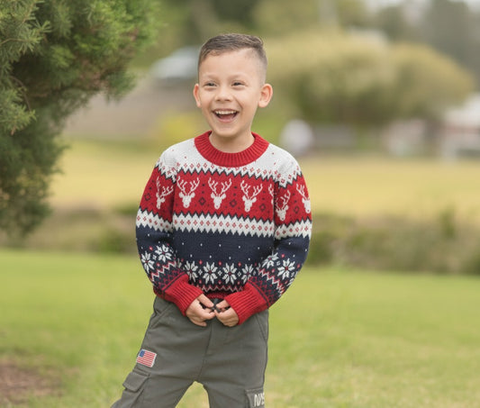 Sweater Zurich Infantil