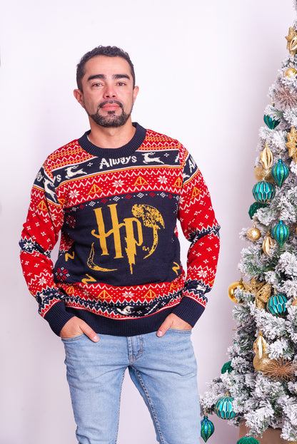 Abrigo Navideño Harry Potter 23