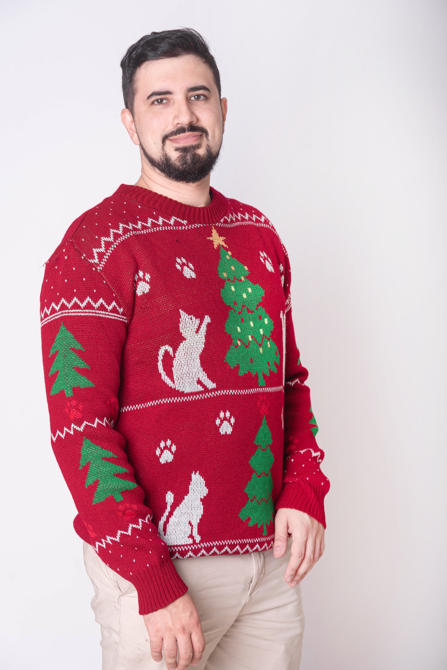 Gatitos de Navidad Extra